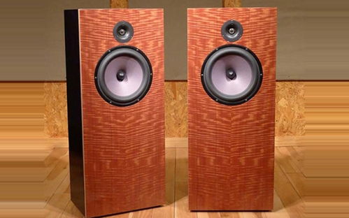 Stereophile 揭晓2021年推荐音响器材榜（三十八） 音箱与音响设备鉴赏