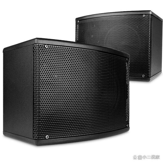唱歌音响设备哪个品牌好?2026年推荐的10款性价比高的设备!